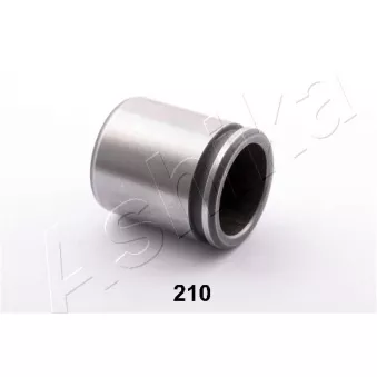 Piston, étrier de frein ASHIKA 133-02-210