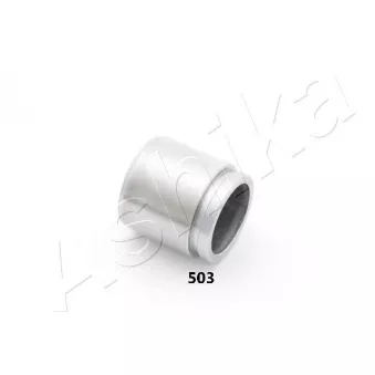 Piston, étrier de frein ASHIKA 133-05-503