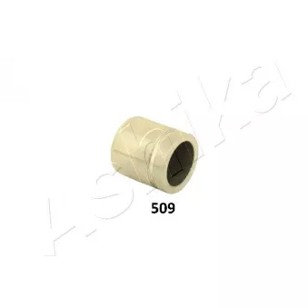 Piston, étrier de frein ASHIKA 133-05-509