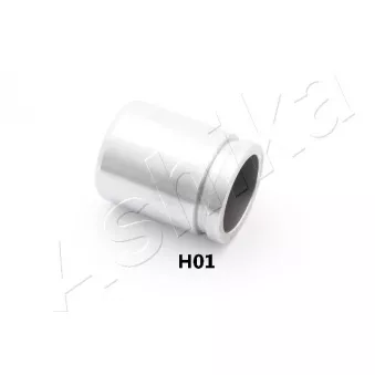 Piston, étrier de frein ASHIKA 133-0H-H01