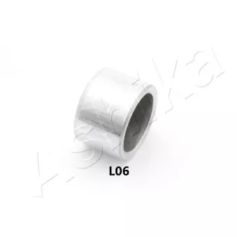 Piston, étrier de frein ASHIKA 133-0L-L06