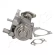 Vanne EGR ASHIKA 150-00-0206 - Visuel 3