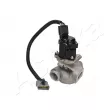 Vanne EGR ASHIKA 150-00-0306 - Visuel 1