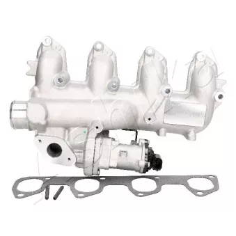 Vanne EGR ASHIKA 150-00-0311