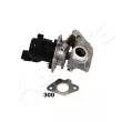 Vanne EGR ASHIKA 150-03-300 - Visuel 1