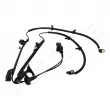 Capteur, vitesse de roue ASHIKA 151-03-332 - Visuel 3