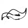Capteur, vitesse de roue ASHIKA 151-0K-K03 - Visuel 1