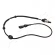Capteur, vitesse de roue ASHIKA 151-0K-K19 - Visuel 3