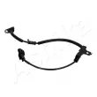 Capteur, vitesse de roue avant droit ASHIKA 151-0K-K36 - Visuel 3