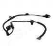 Capteur, vitesse de roue avant gauche ASHIKA 151-0K-K40 - Visuel 1