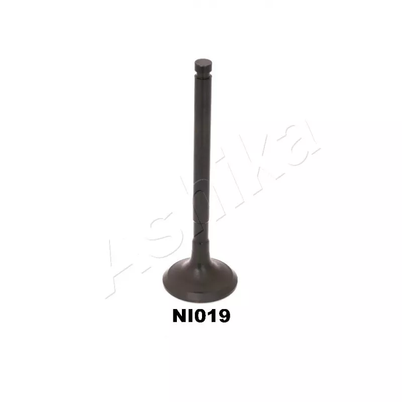 Soupape d'échappement ASHIKA 15NI019