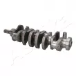 Vilebrequin ASHIKA 18NS000 - Visuel 1