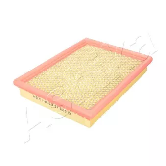 Filtre à air ASHIKA 20-00-015