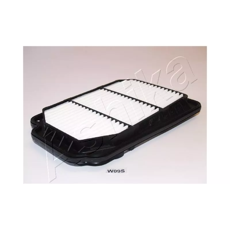 Filtre à air ASHIKA 20-0W-W09