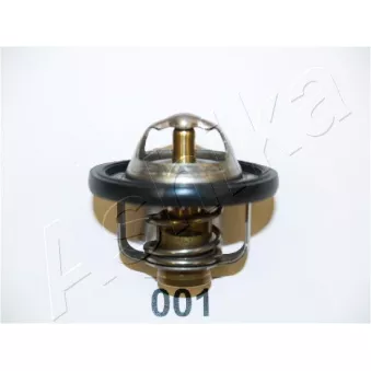 Thermostat d'eau ASHIKA 22-001