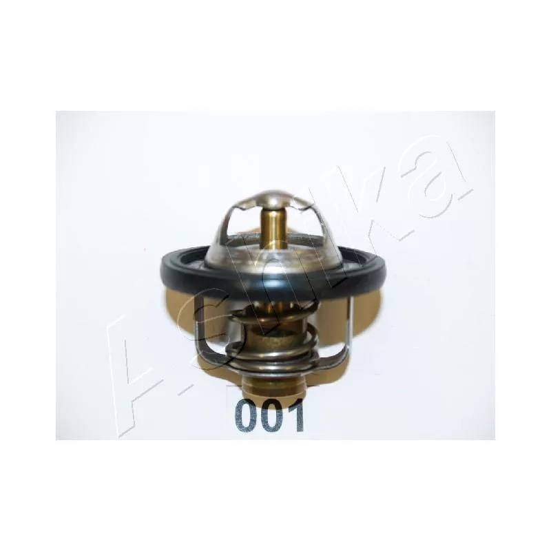Thermostat d'eau ASHIKA 22-001