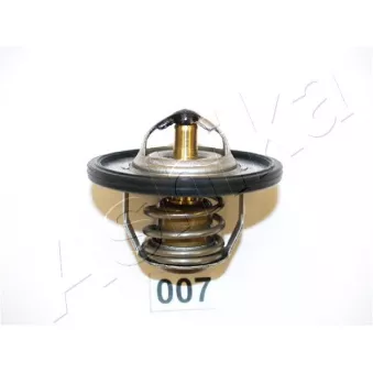 Thermostat d'eau ASHIKA 22-007