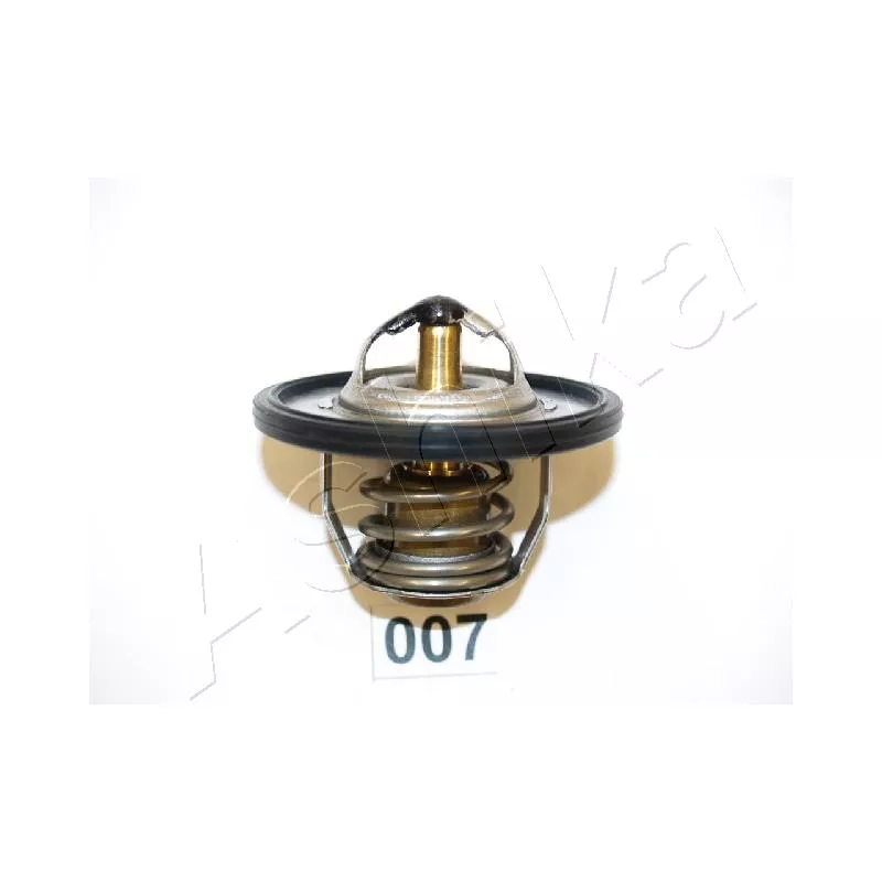 Thermostat d'eau ASHIKA 22-007
