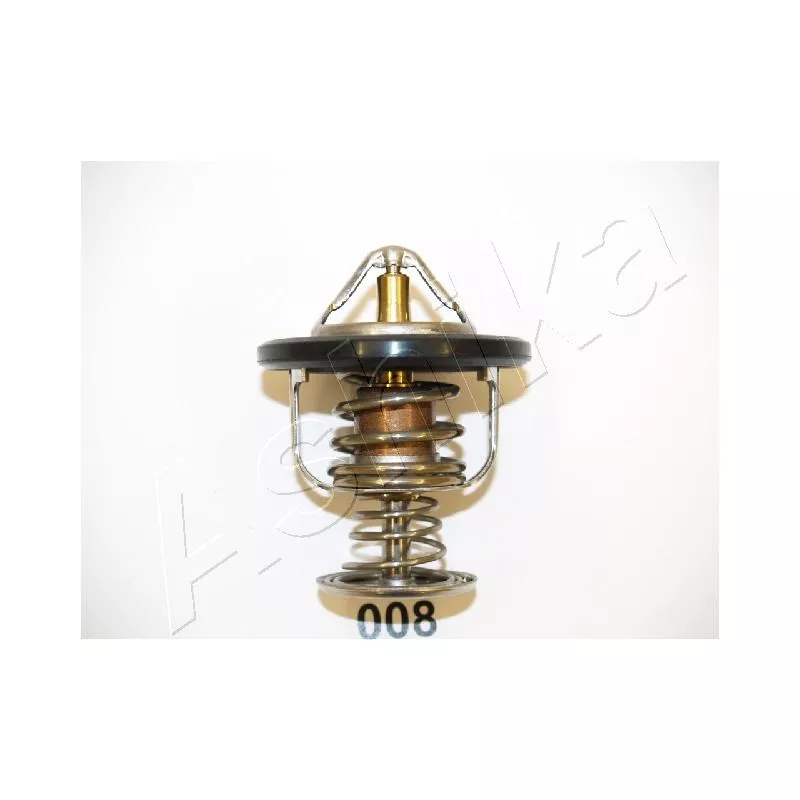 Thermostat d'eau ASHIKA 22-008