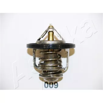Thermostat d'eau ASHIKA 22-009