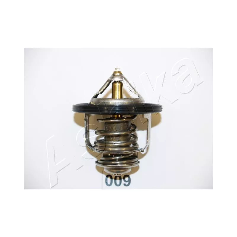 Thermostat d'eau ASHIKA 22-009