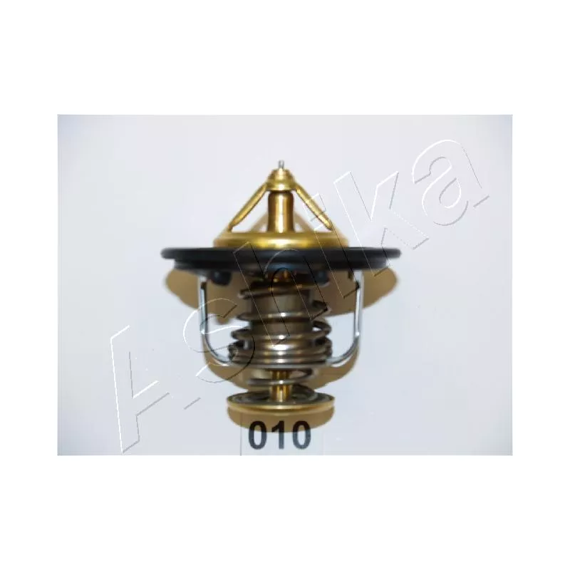 Thermostat d'eau ASHIKA 22-010