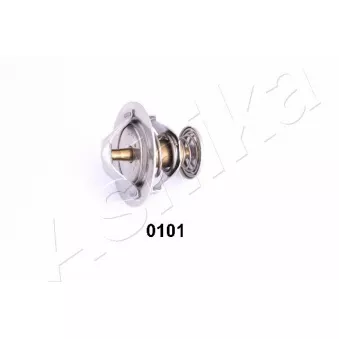 Thermostat d'eau ASHIKA 22-0101