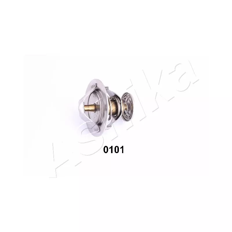 Thermostat d'eau ASHIKA 22-0101