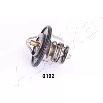 Thermostat d'eau ASHIKA 22-0102