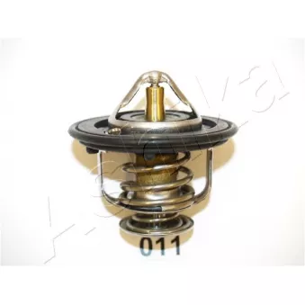 Thermostat d'eau ASHIKA 22-011