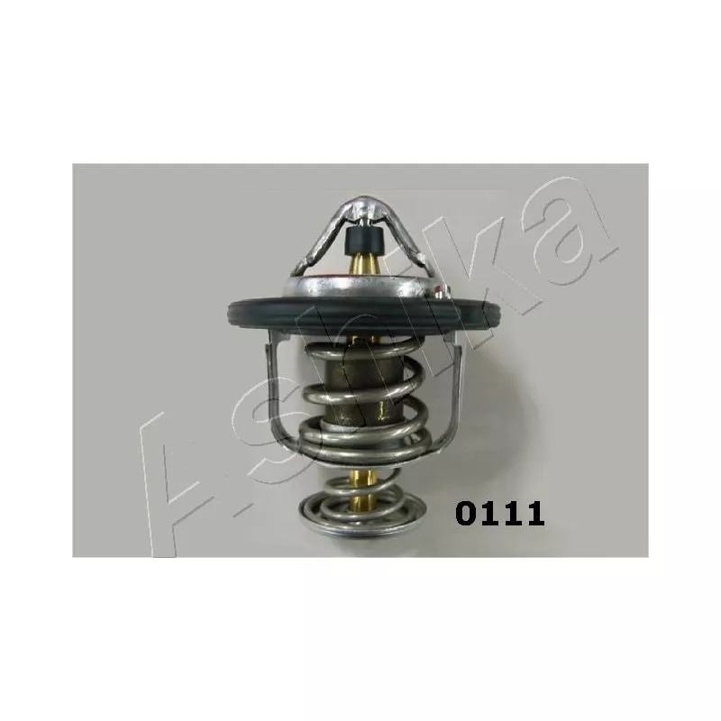 Thermostat d'eau ASHIKA 22-0111