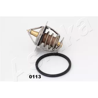 Thermostat d'eau ASHIKA 22-0113