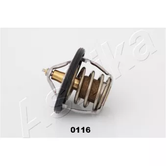 Thermostat d'eau ASHIKA 22-0116