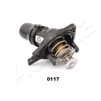 Thermostat d'eau ASHIKA