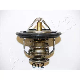 Thermostat d'eau ASHIKA 22-012