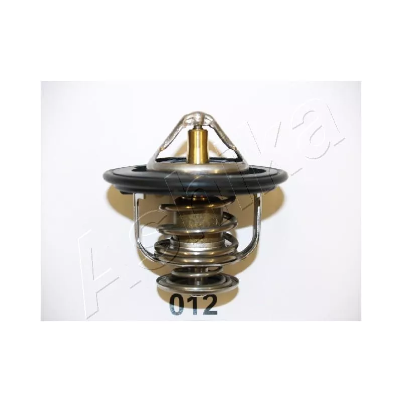 Thermostat d'eau ASHIKA 22-012