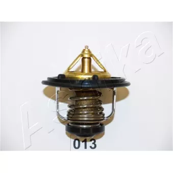 Thermostat d'eau ASHIKA 22-013