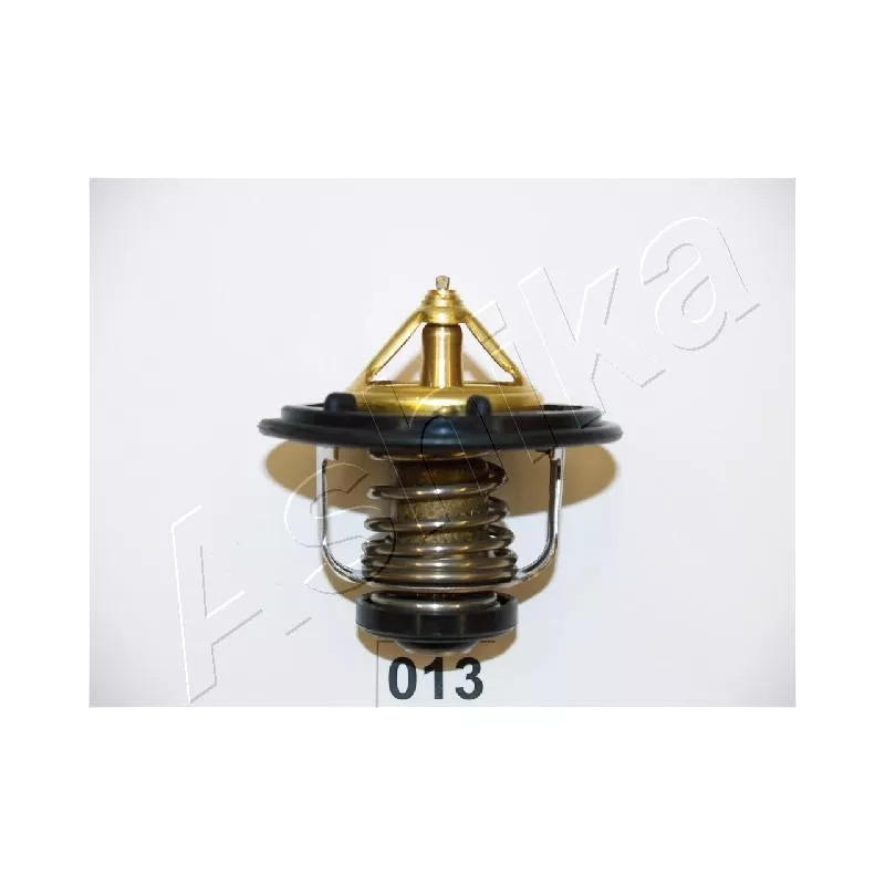 Thermostat d'eau ASHIKA 22-013