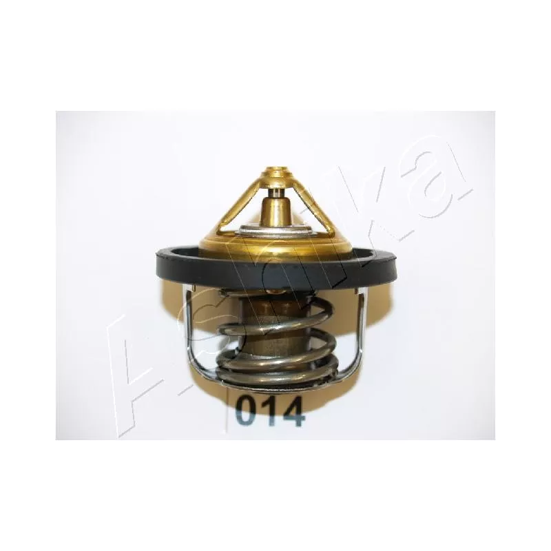 Thermostat d'eau ASHIKA 22-014