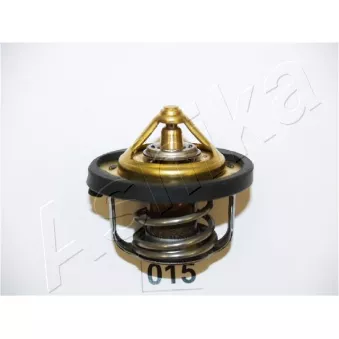 Thermostat d'eau ASHIKA 22-015