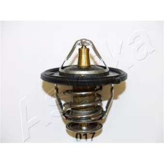 Thermostat d'eau ASHIKA 22-017