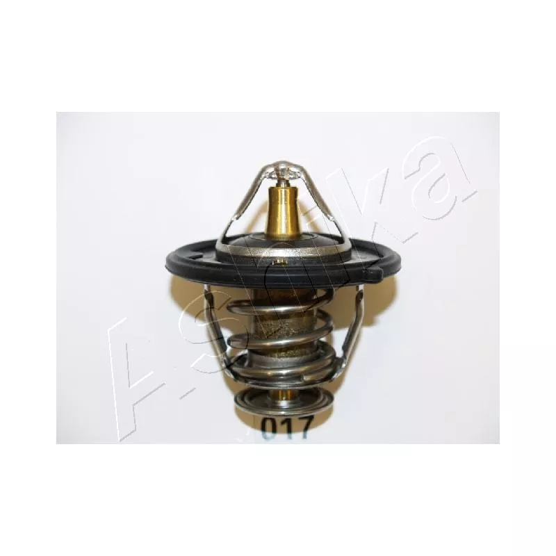 Thermostat d'eau ASHIKA 22-017