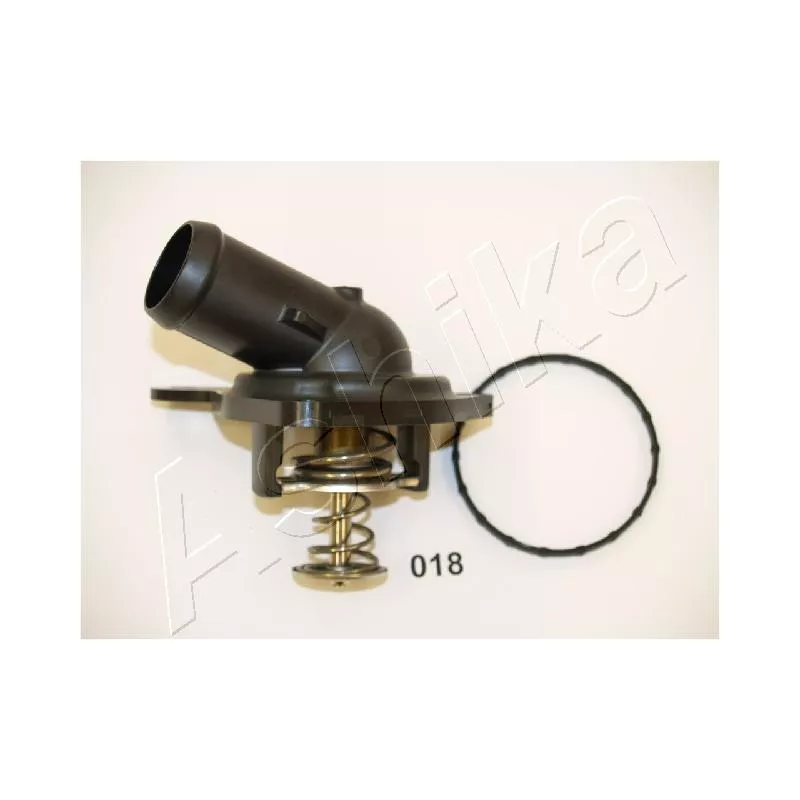 Thermostat d'eau ASHIKA 22-018