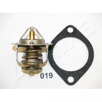 Thermostat d'eau ASHIKA 22-019