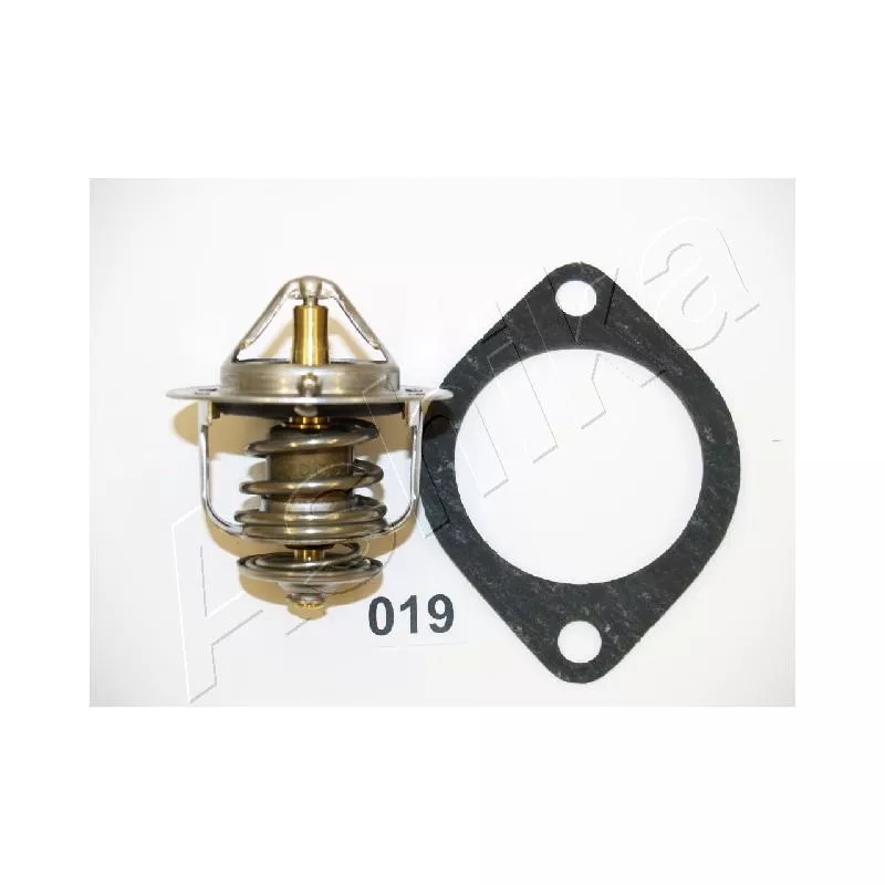 Thermostat d'eau ASHIKA 22-019