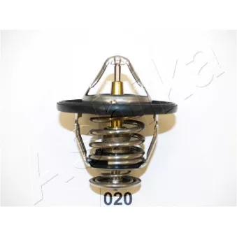 Thermostat d'eau ASHIKA 22-020
