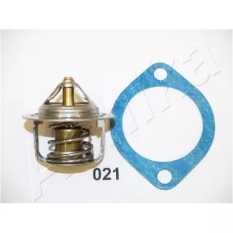 Thermostat d'eau ASHIKA 22-021