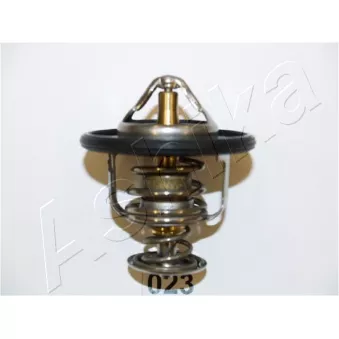 Thermostat d'eau ASHIKA 22-023