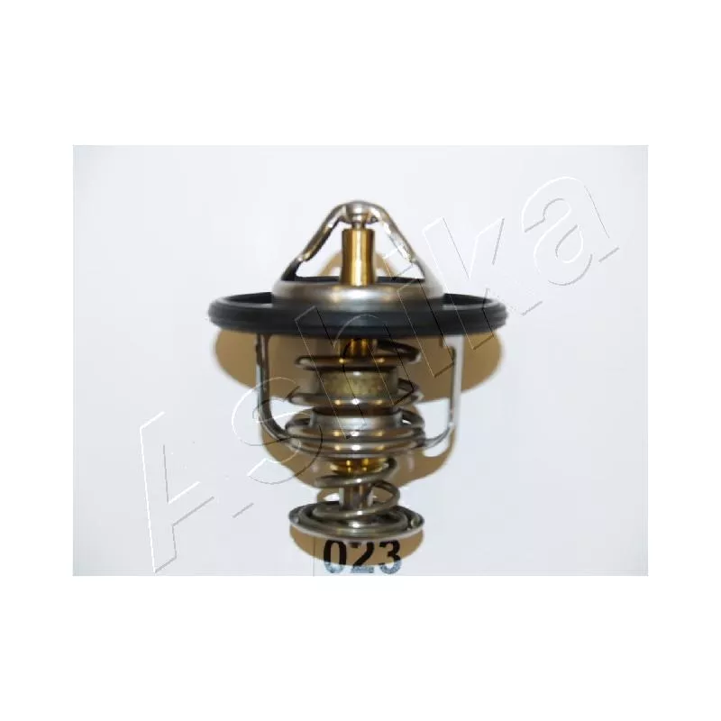 Thermostat d'eau ASHIKA 22-023