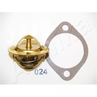 Thermostat d'eau ASHIKA 22-024